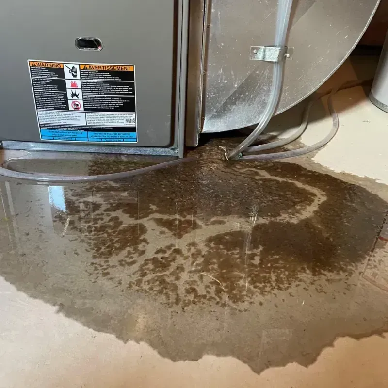 Appliance Leak Cleanup in Lithopolis, OH